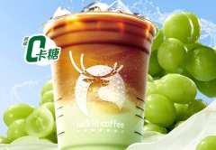 瑞幸咖啡加盟条件和费用有哪些？让我们为你解答