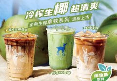 瑞幸咖啡加盟投资要多少钱？加盟指南及费用概览